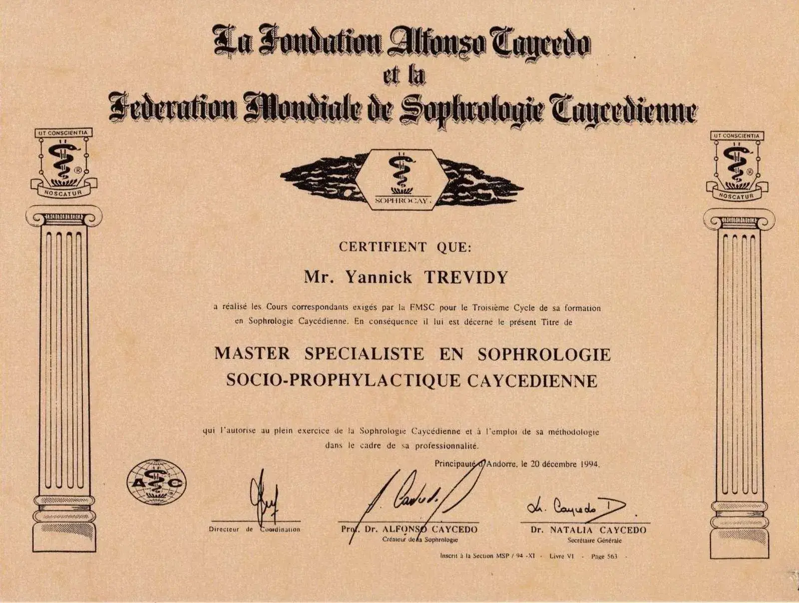 Diplôme de Master Spécialiste de Yannick Trévidy